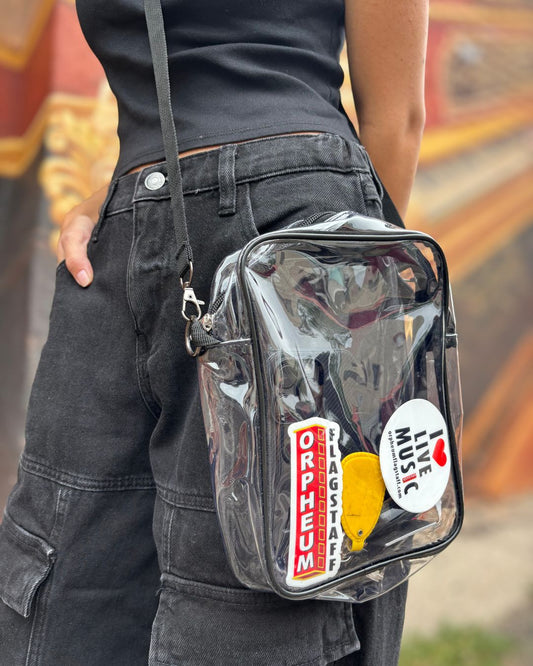 Clear Purse