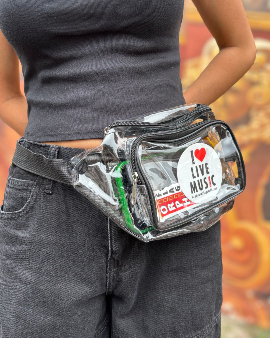 Clear Cross Body Bag (Fanny Pack)